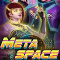 MetaSpace